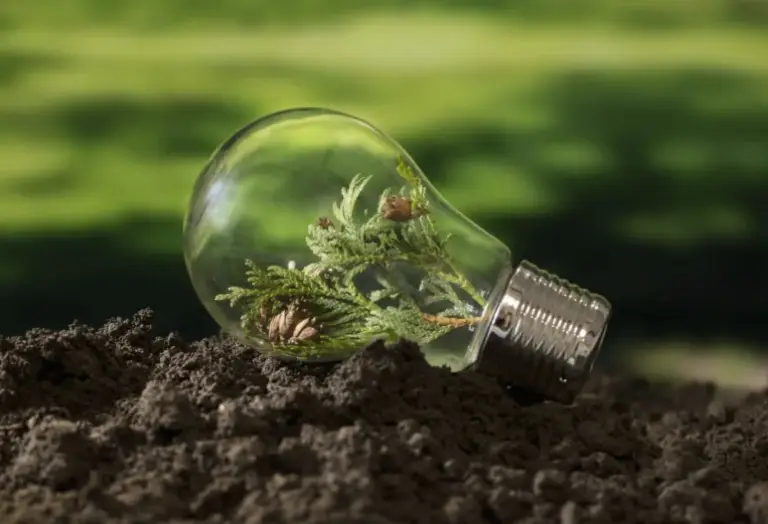 Green-ESG_1-scaled-ezgif.com-jpg-to-webp-converter-768x536